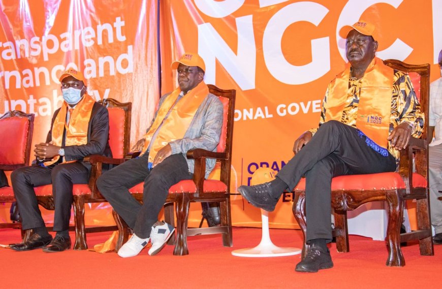 Details of ODM aspirants' letter to Raila