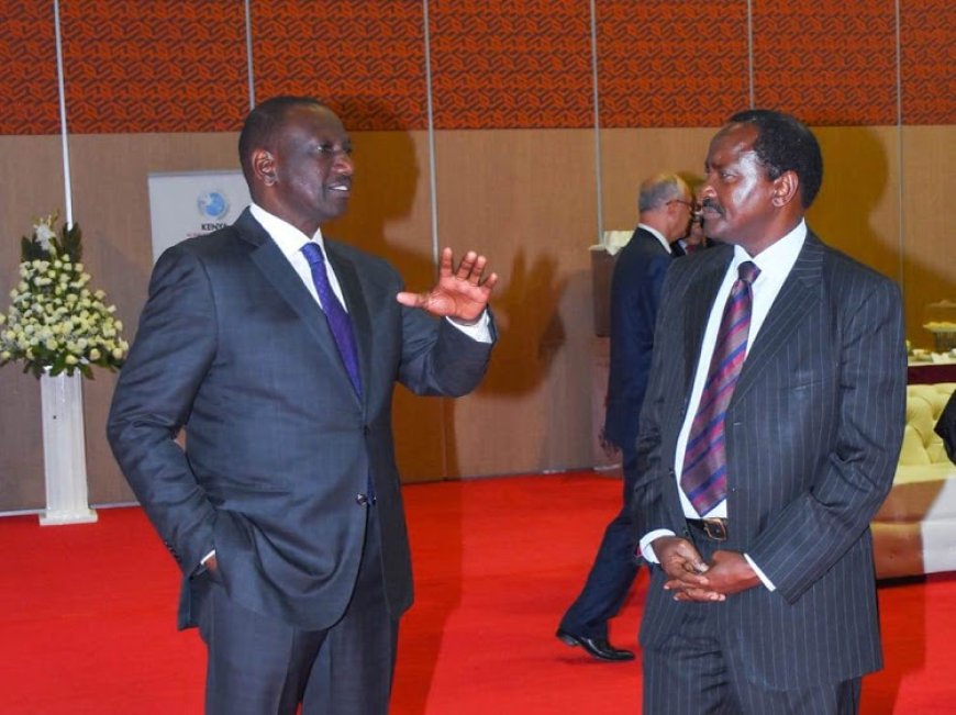 You stole our votes, Kalonzo tells Ruto