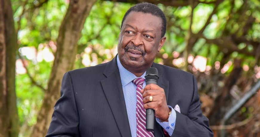 Revealed: Positions Mudavadi, Wetangula will hold in DP Ruto’s government