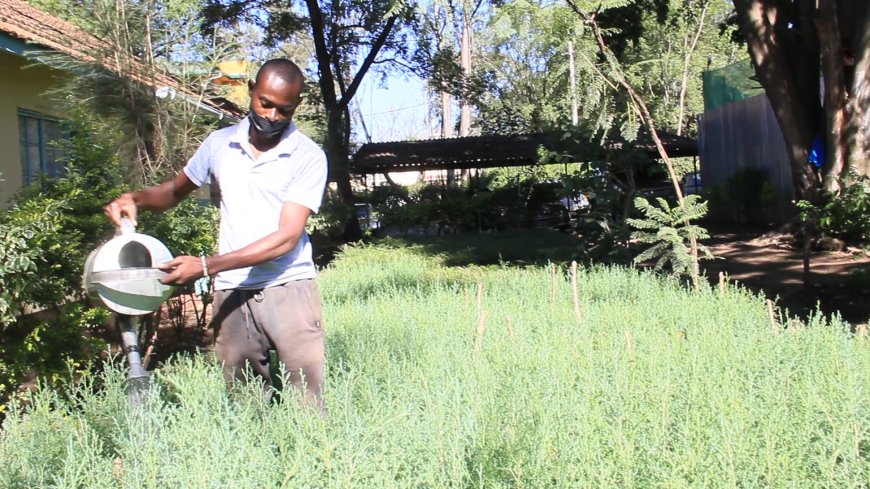 Nakuru County Government gives youth a voice in climate change decision-making