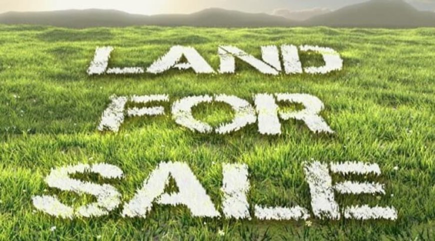 AMENYA: Steps to follow Before buying land in Kenya