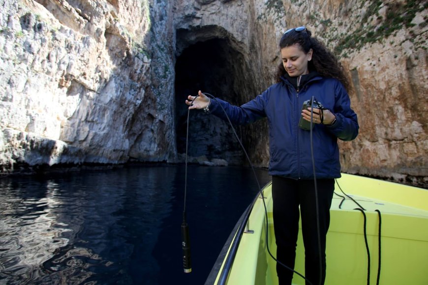 Albania pushes out boat to save world's rarest seal