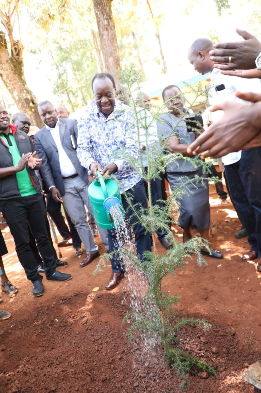 Vihiga Governor launches school greening programme