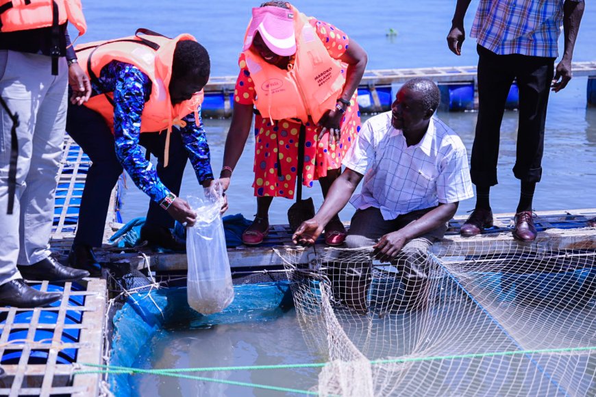 Kisumu county Launches Fish Scaling and Filleting Market