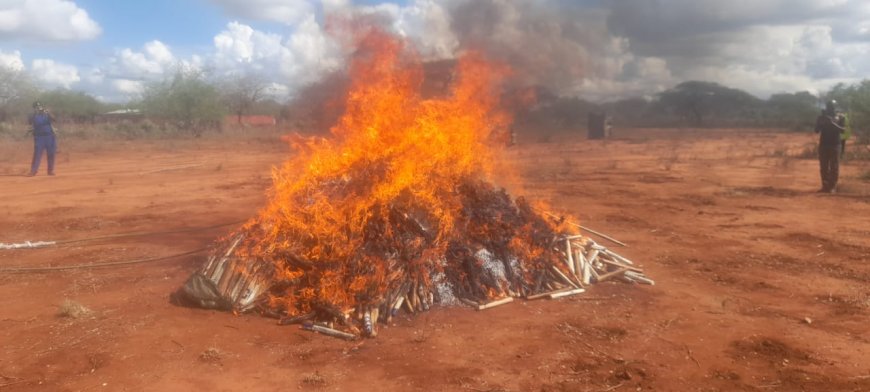 Bhang worth Sh17 million destroyed in Makindu