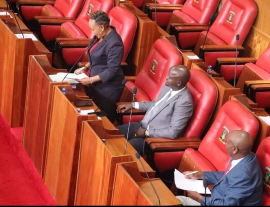 Murang’a Assembly raises concern over poor solid waste management in the county