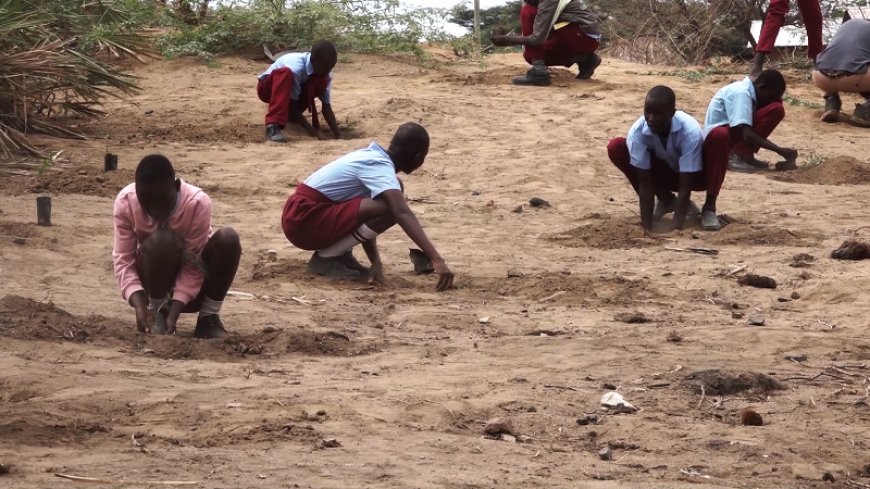 Lack of food blamed for absenteeism in schools