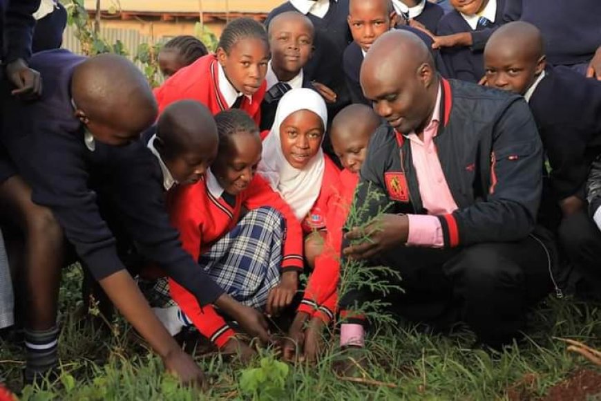 School re-greening programme launched