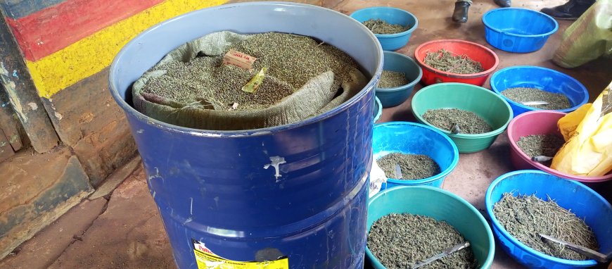 Embu Police impound bhang in Shauri slum