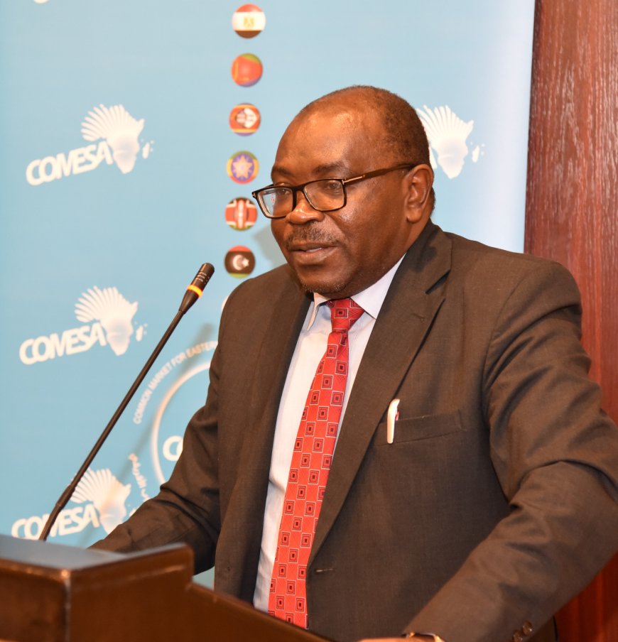 Kenya assures its commitment to the COMESA Electronic Single Window initiative