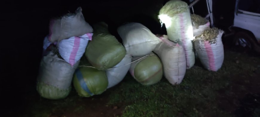 Vehicle ferrying ten bags of bhang involved in an accident