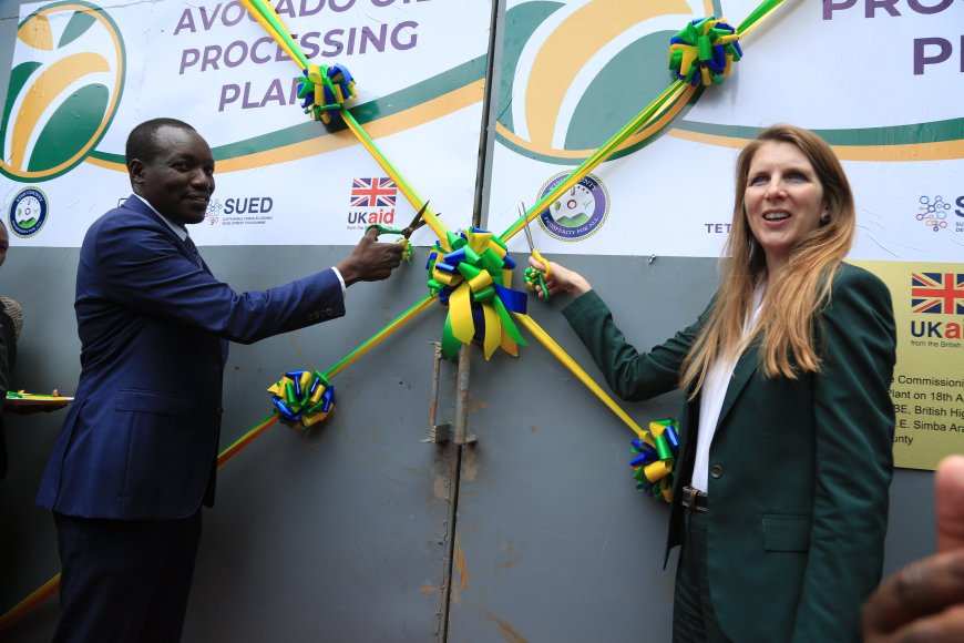 Kisii avocado processing plant to benefit thousands of farmers