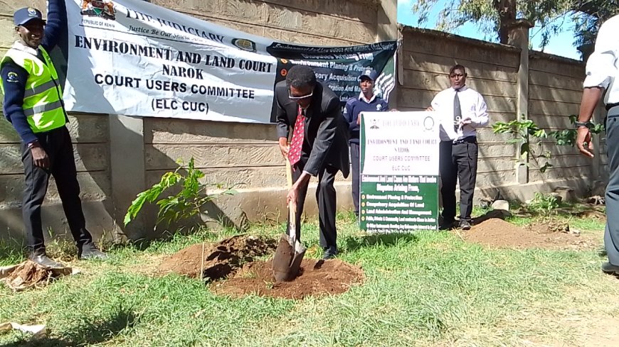 Court users plant over 400 tree seedlings at Narok Law Court premises