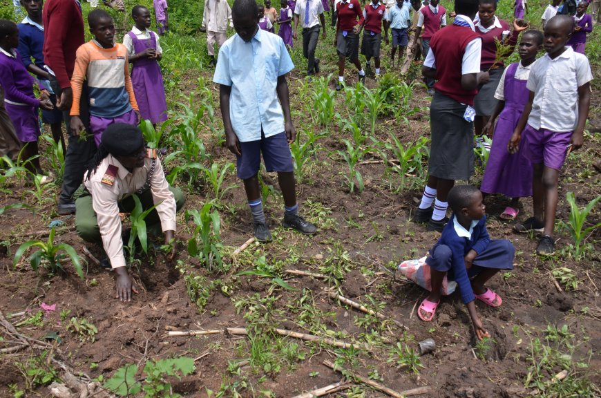 Tree conservators urged to incorporate education institutions in tree planting exercises