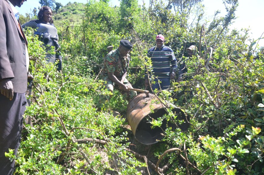 Police Net, Destroy over 10,000 litres of Illicit Brew