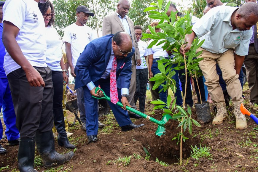 Nyeri deputy governor joins partners in Kieni climate initiative project launch