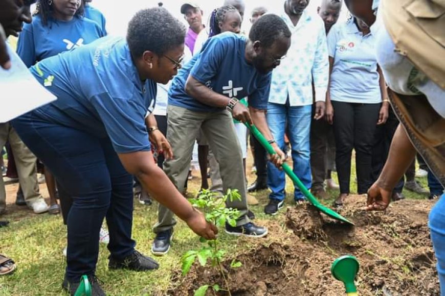 Standard Chartered bank to help set up a tree nursery in Kisumu