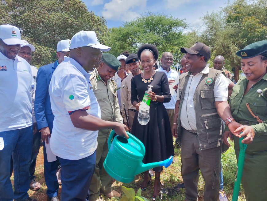 Tharaka Nithi to plant over 9000 trees