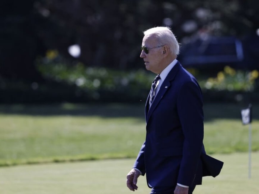 Biden says to let reelection plans known to public "real soon"