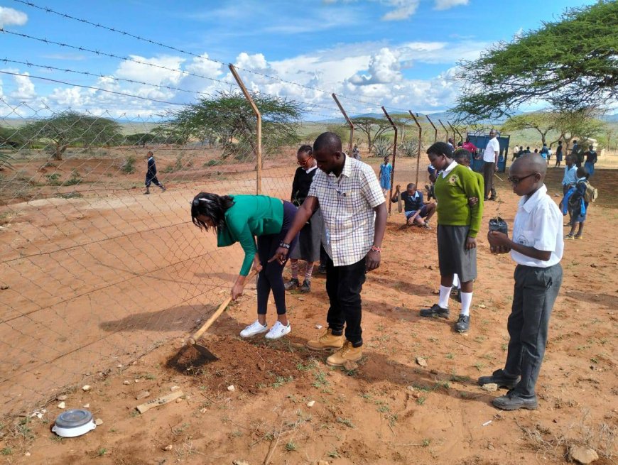 Plant Trees To Promote Forest Cover, Kenyans urged