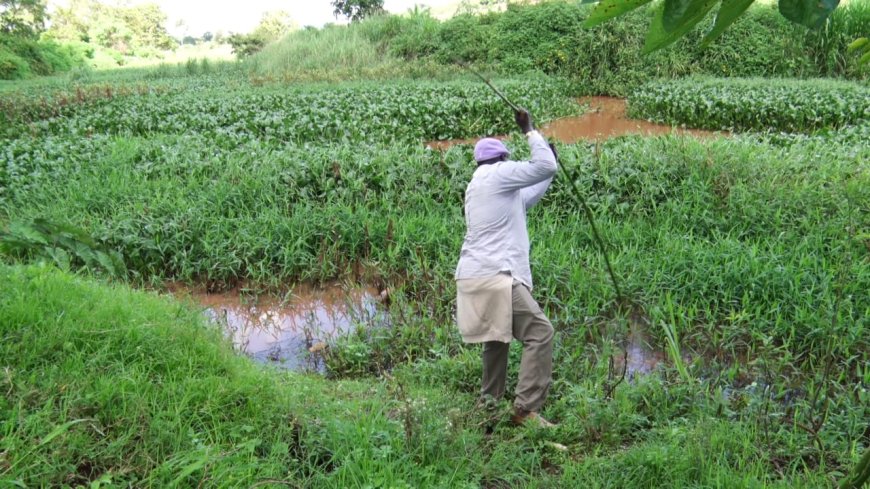 Programme to restore the suffocating Thika River launched