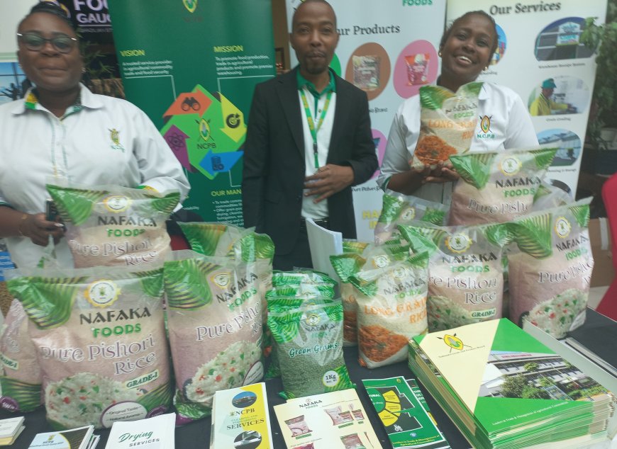 Promoting seamless grain food trade across the region