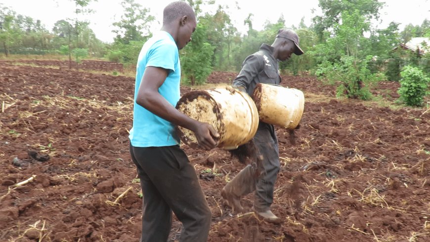 Busia farmers Embrace Agro-ecological Farming to cut cost of production