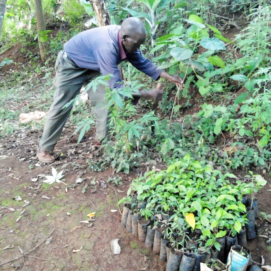 Protect indigenous wells to attain food security, a Nyeri environmentalist appeals