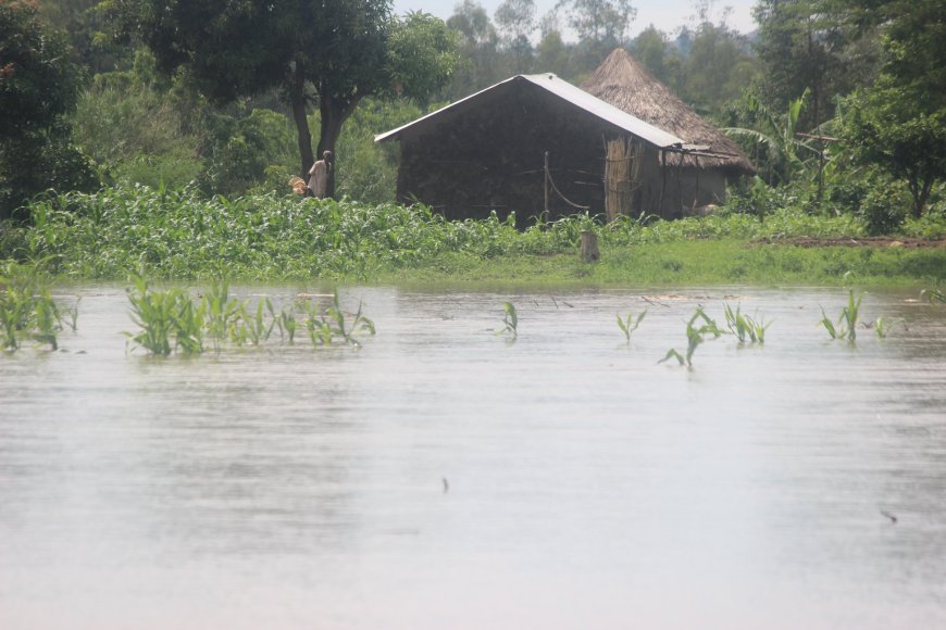 Hundreds Displaced in Busia as Floods continue to Cause Havoc