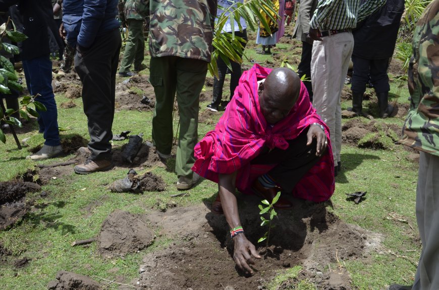 Narok residents asked to plant trees during this rainy season