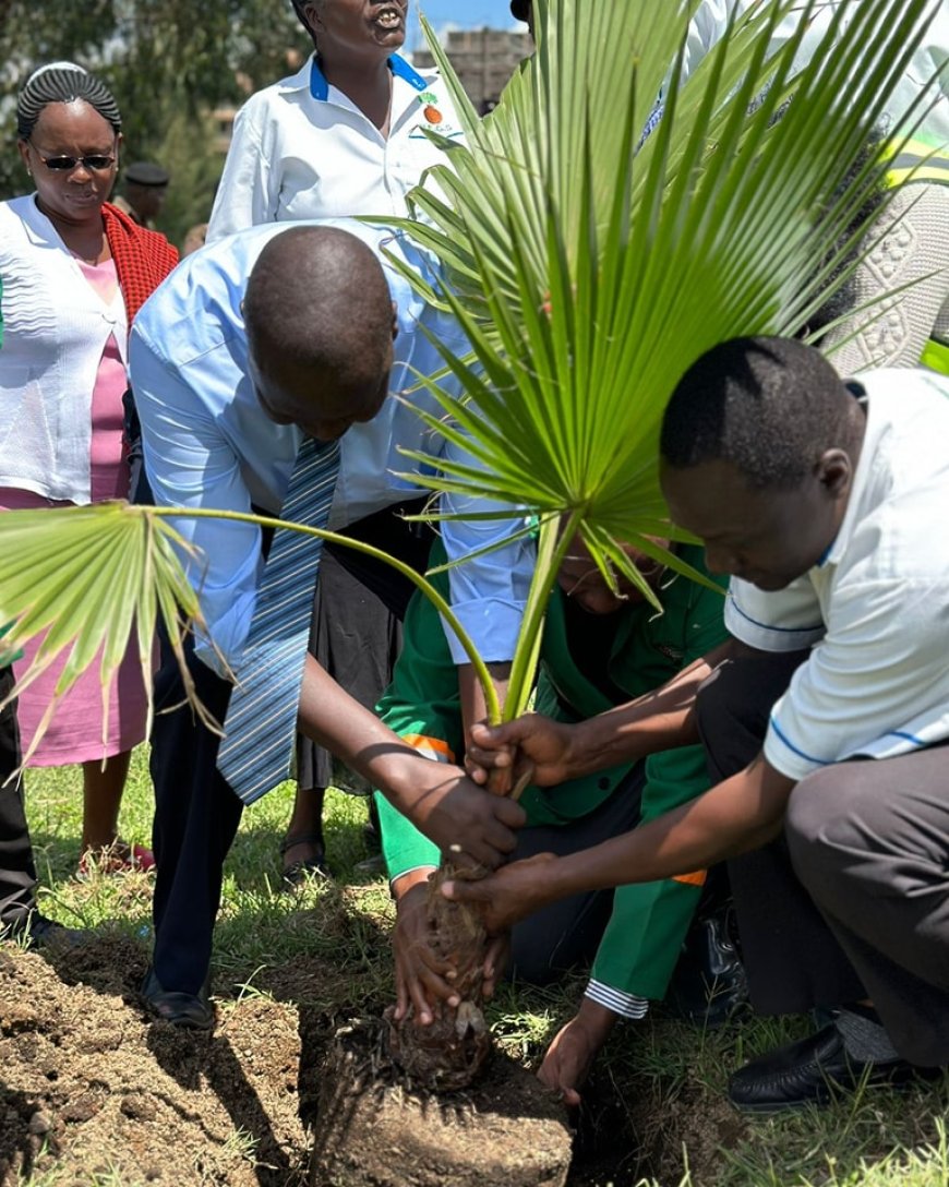 Nakuru embarks on greening the County