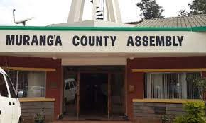 Murang’a assembly wants operations of water firm separated from subsidiary