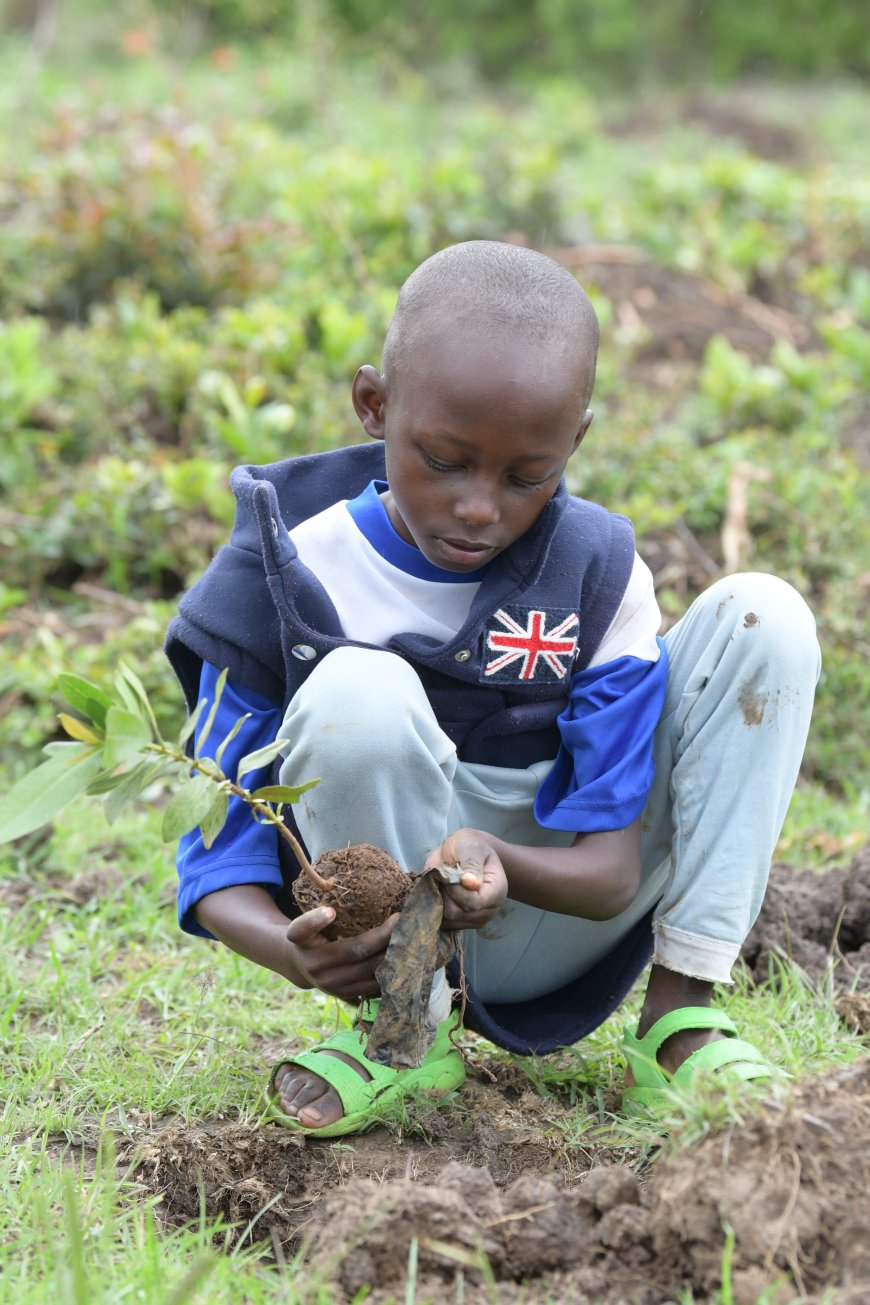 Laikipia residents urged to intensify tree planting exercises during this rain season.