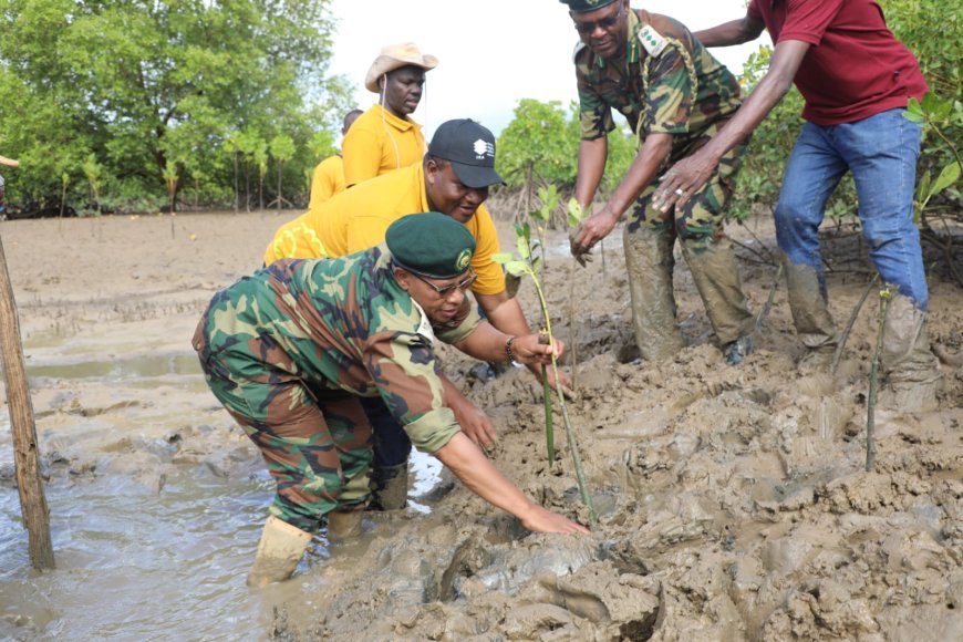 Authority to extend partnership with KFS in Mangrove restoration