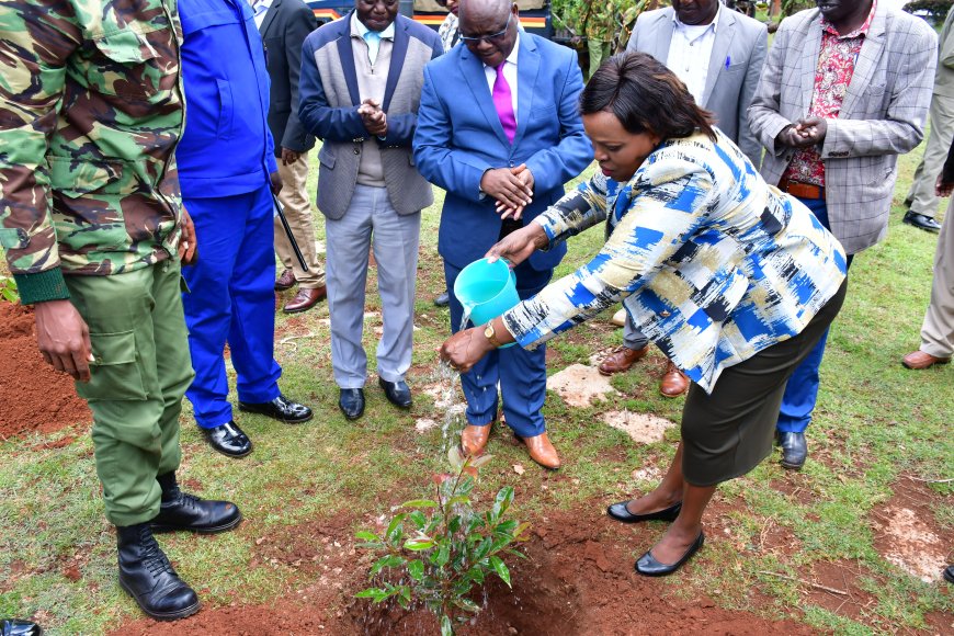 18 million trees to be planted in North Rift conservancy