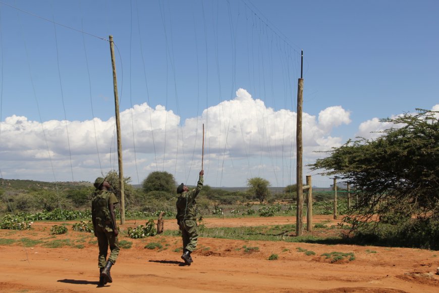 Naibunga residents benefit with a 40-km electric fence