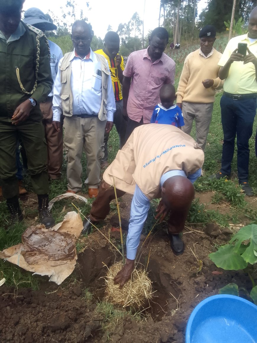 Trans Nzoia County to plant over one million trees annually to fight climate change