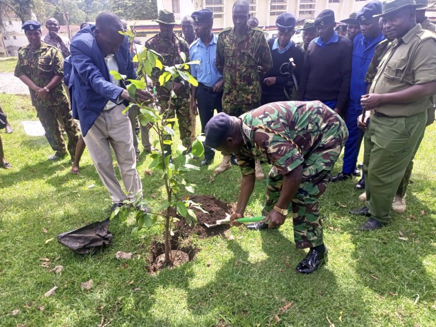 West Pokot targets to plant 1.5 million before end of rain season