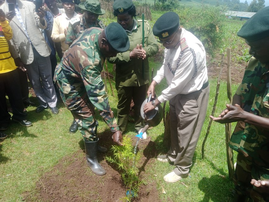 Zero tolerance to forest land encroachment says regional commissioner