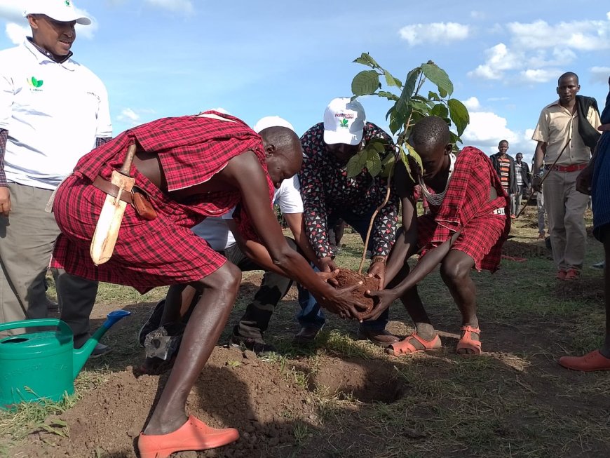 Tree planting campaign launched in Kajiado