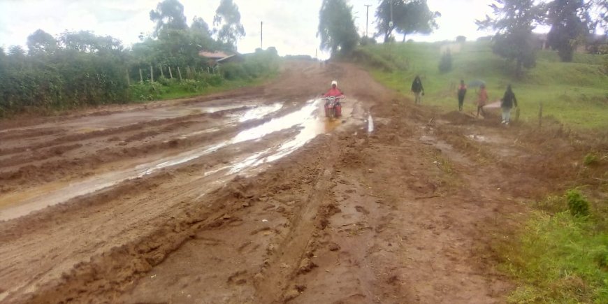 Residents, leaders appeal for completion of stalled Mau Mau road