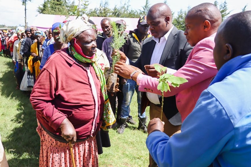 Nakuru County Govt ramps up tree restoration programme