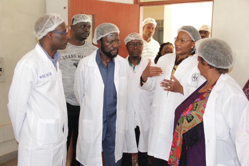 KIRDI partners with University of Nairobi to train women on fish value addition