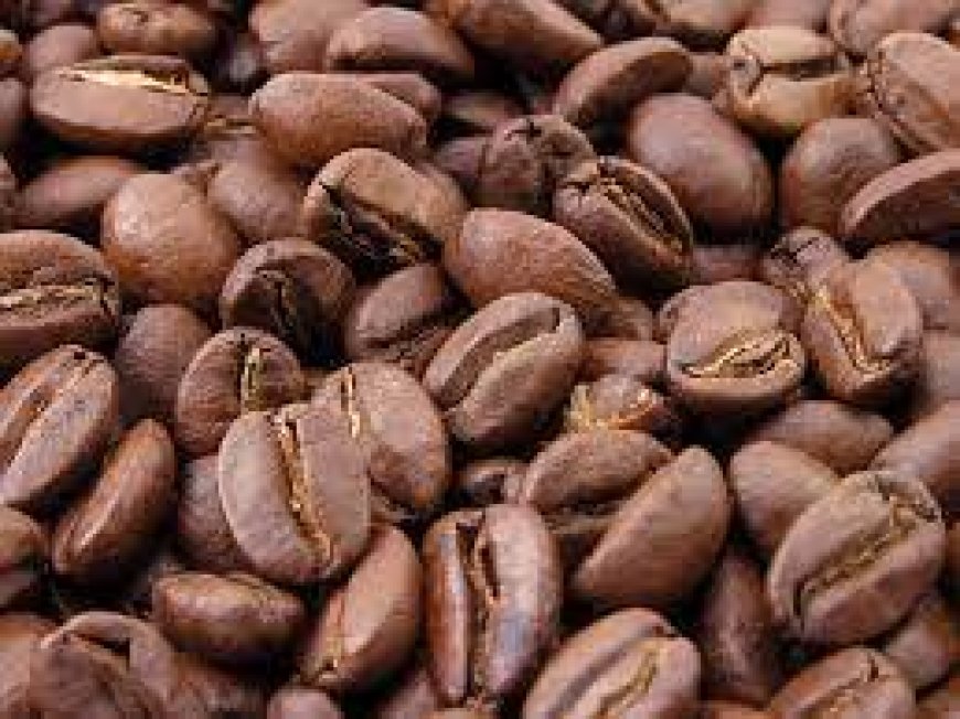 Nakuru County rolls out strategy to revive the collapsed coffee sub sector