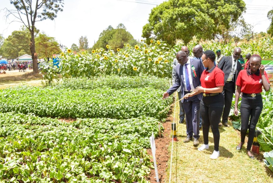 Adoption of new technologies, boost for agricultural production