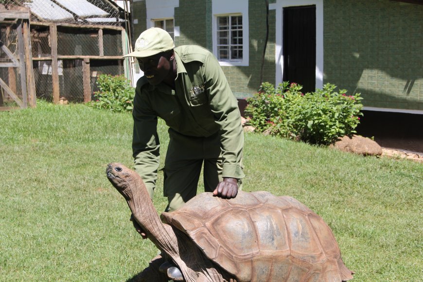 Conservationist, 60, determined to protect wildlife despite being trampled by an elephant