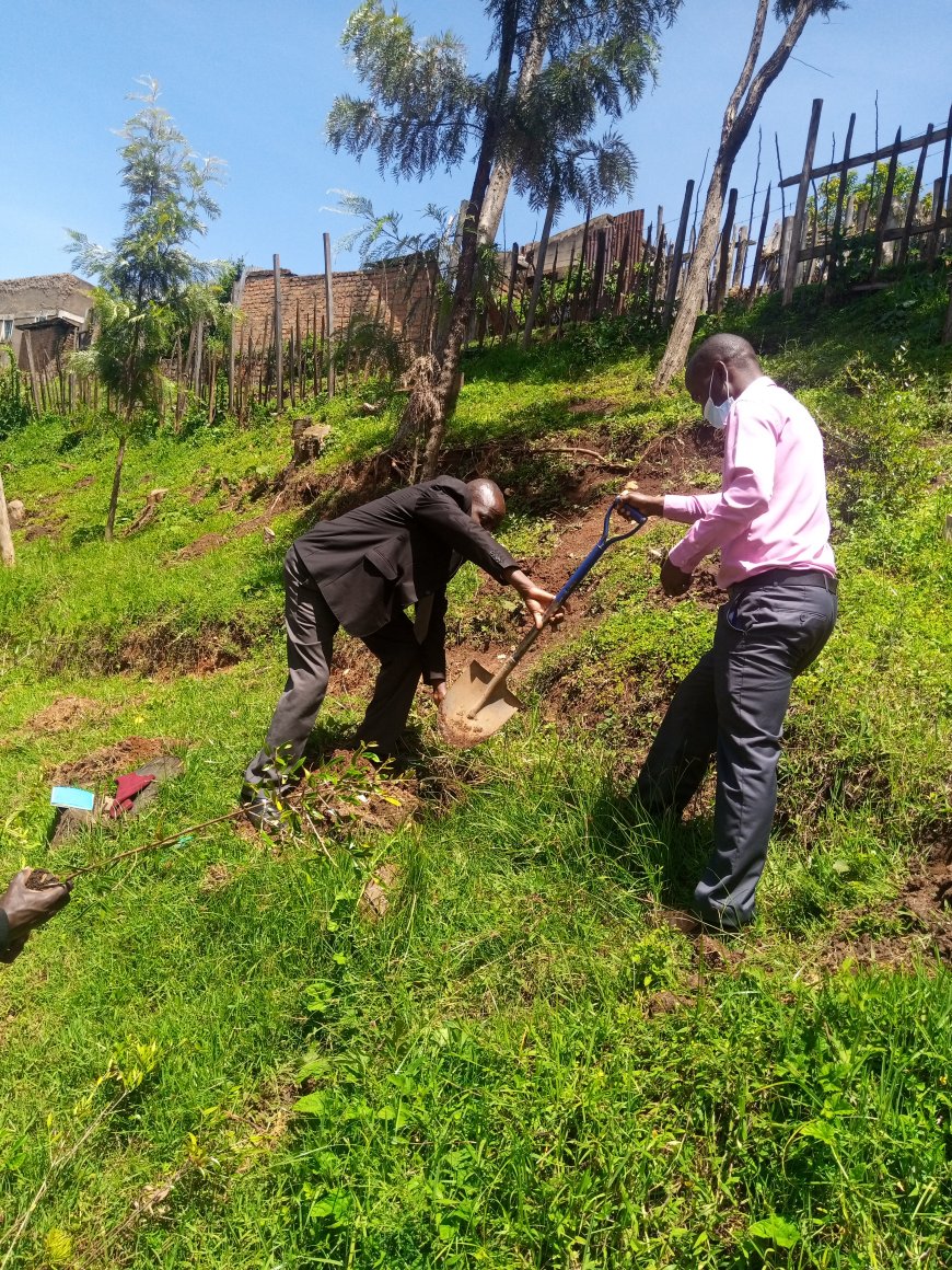 Rehabilitating offenders through reforestation efforts