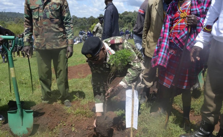 Masinde warns loggers destroying the Maasai Mau Forest