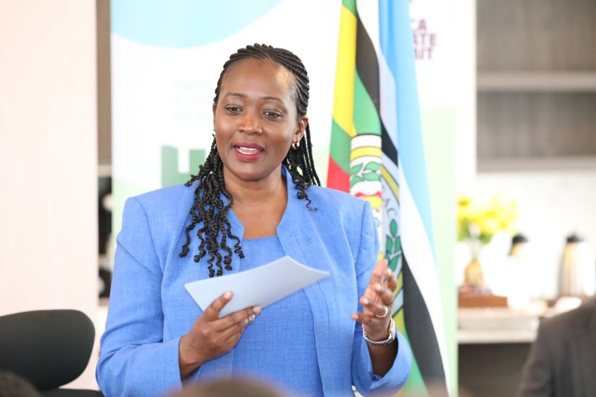 Environment CS Tuya shares ministry priorities with development partners