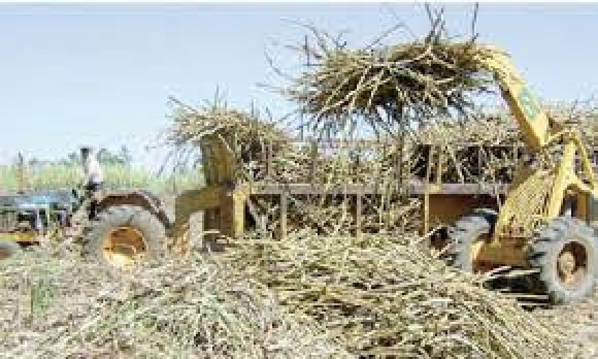 Cane farmers want sugar importers stopped